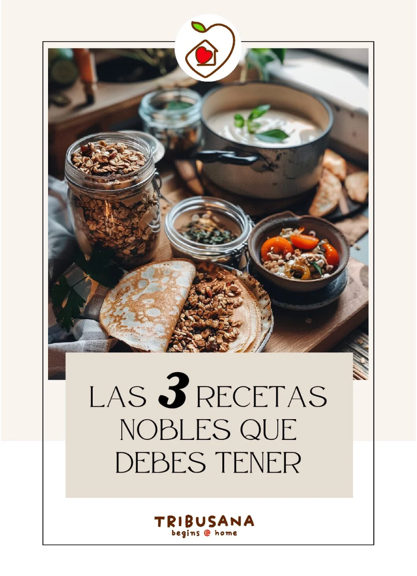 3 Noble Recipes Cover Spanish